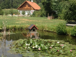 Ferienhaus zur Thusmühle